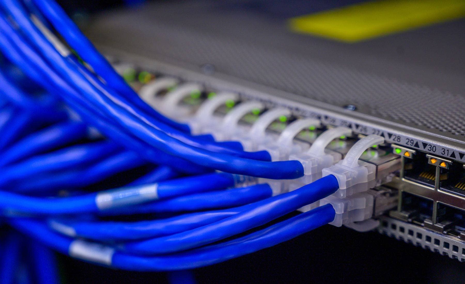 Blue patch leads neatly dressed into a network switch after a structured cabling install