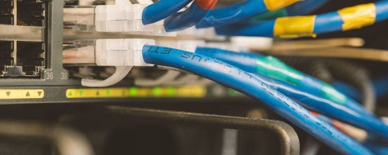 Blue patch leads neatly terminated into a network switch after a structured cabling install